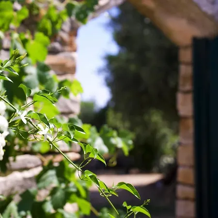 Holiday home Minicasa Nella Natura, Con Piscina A Due Passi *