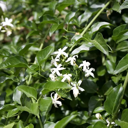 別荘 Minicasa Nella Natura, Con Piscina A Due Passi