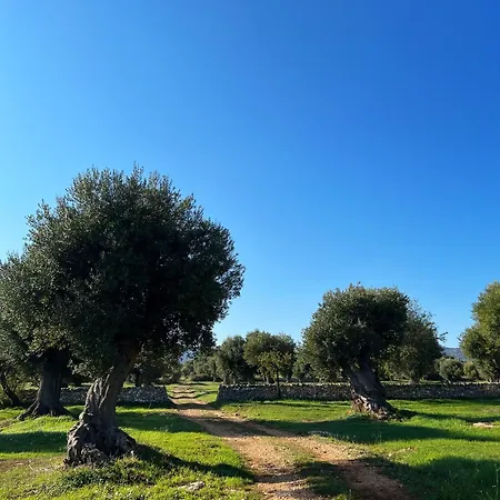 Minicasa Nella Natura, Con Piscina A Due Passi * Ostuni