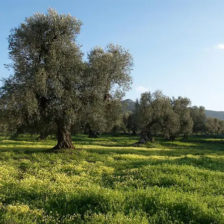 Holiday home Minicasa Nella Natura, Con Piscina A Due Passi