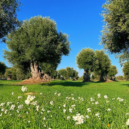 Minicasa Nella Natura, Con Piscina A Due Passi Holiday home